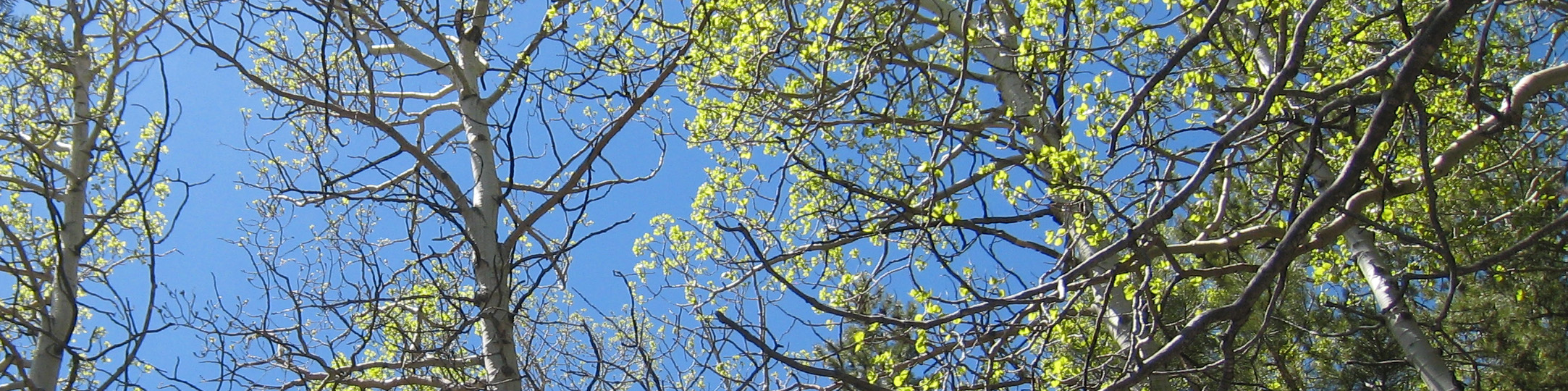 Parker Lake 2011 066.jpg